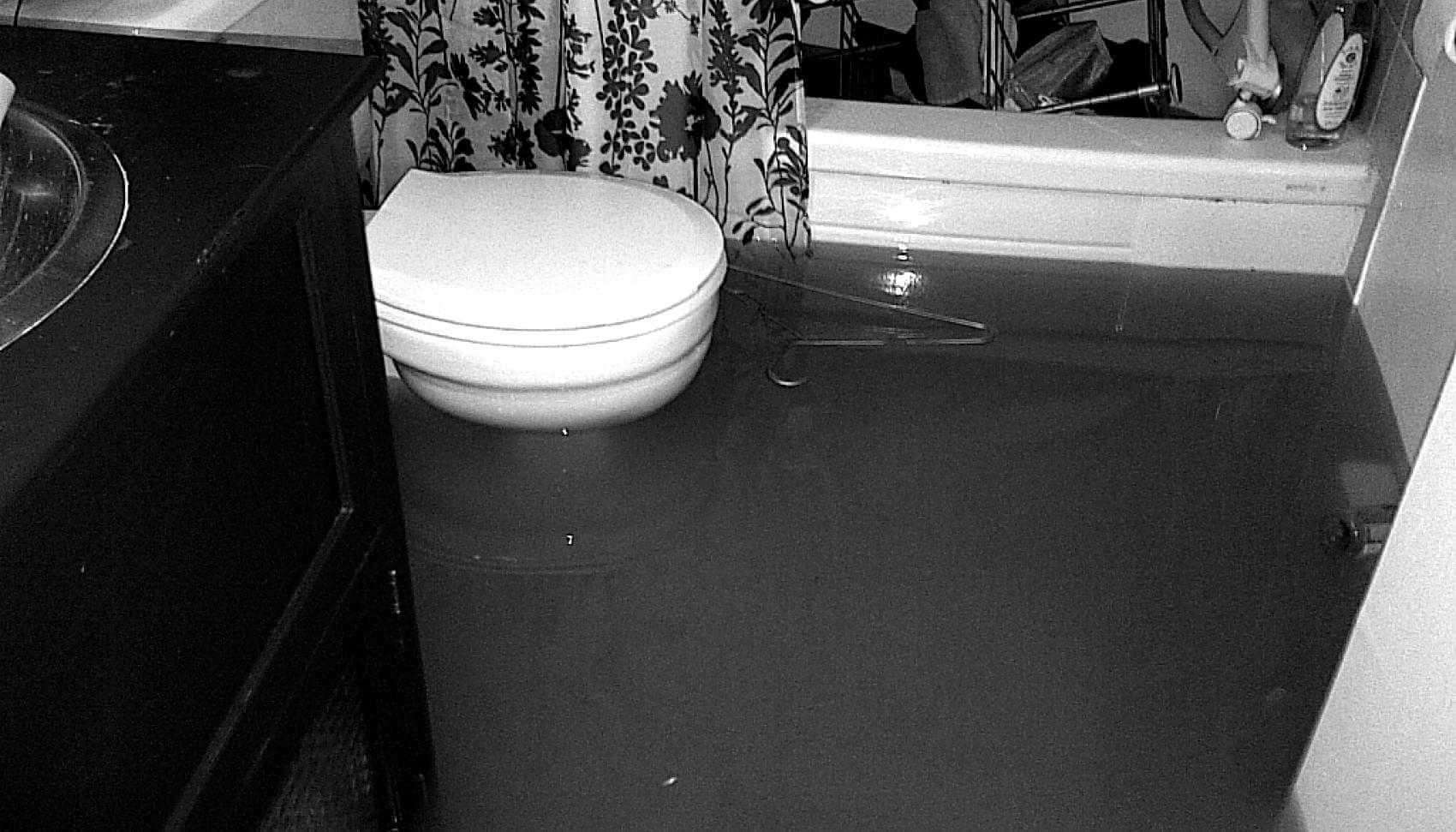 Basement Flooding & Sewer Backup Halifax Water